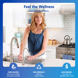 RO System with modern brushed nickel faucet - RO10MBN