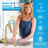 Alkaline RO System with modern brushed gold faucet