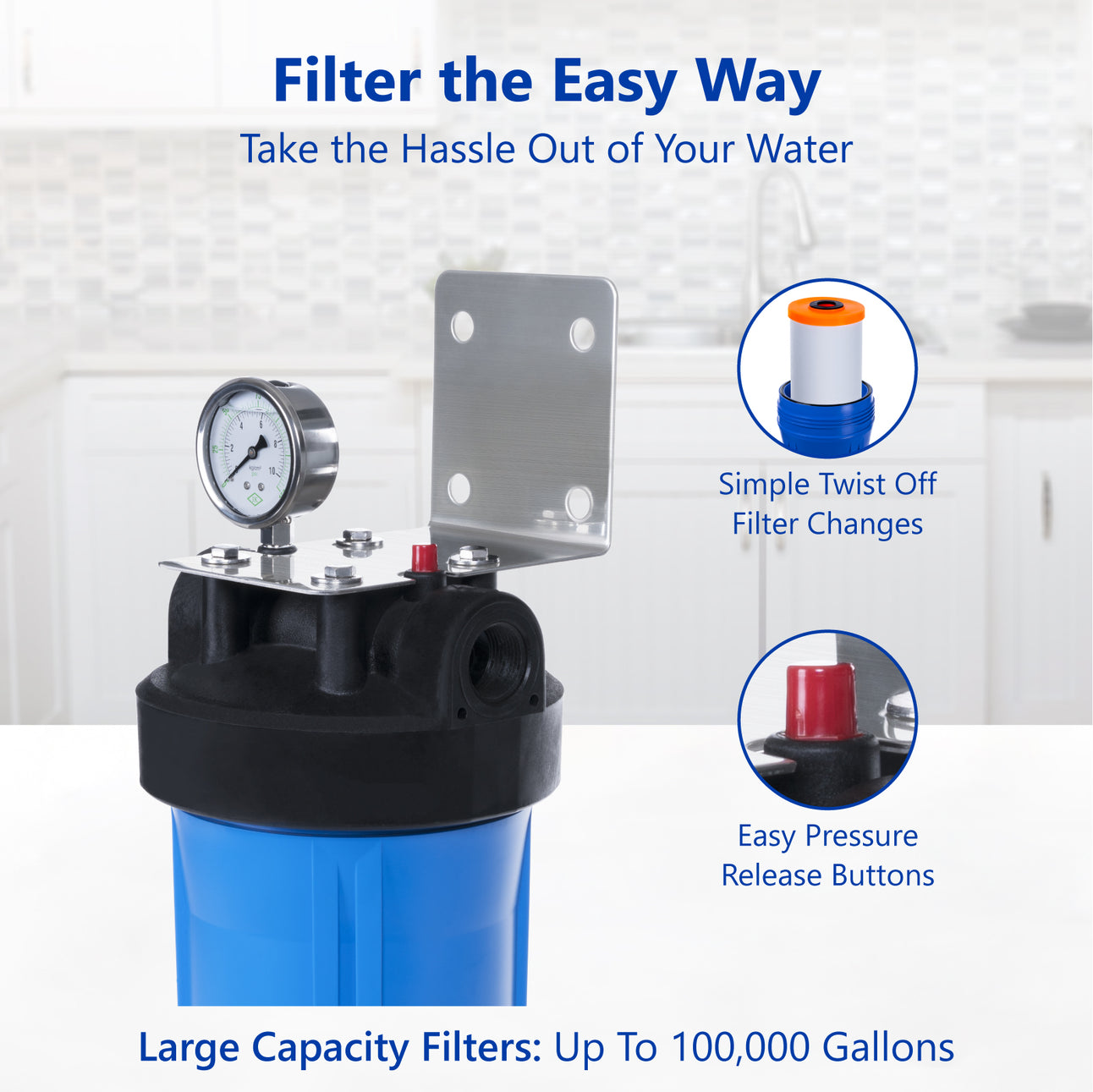 Anti Scale Whole House Water Filter – Home Water Filtration System – Polyphosphate Conditioner – Pressure Gauge, Easy Release, 1” Inch Connections - dev-express-water
